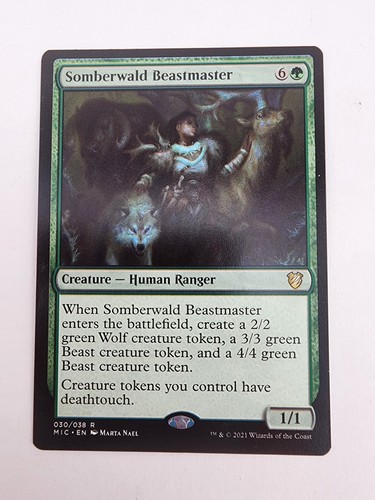 Somberwald beastmaster - somberwald,