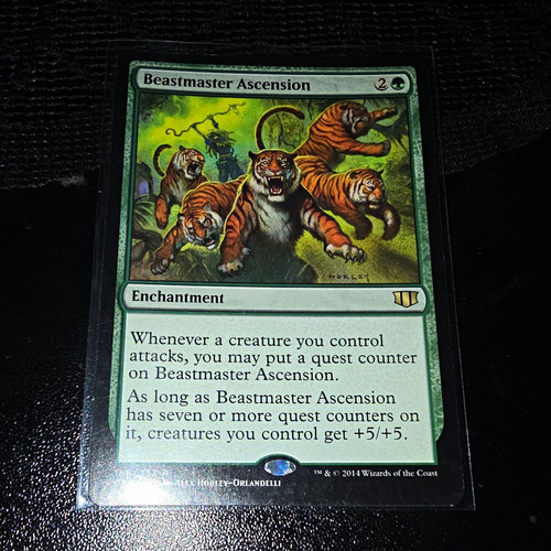 Wizards the coast - of,